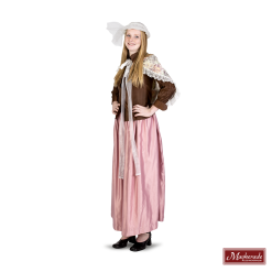 Bruine Glimmende Blouse Met Roze Glimmende Rok En Gebloemde Omslag (Charles Dickens)